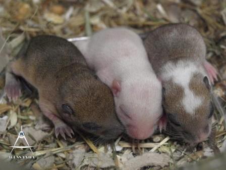 17-12-2009 C&A 1 week oud