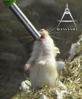 4 weken oud drinken uit de fles