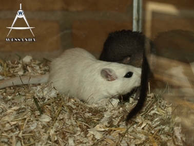 2011-03-29 Benji & Lena (3)