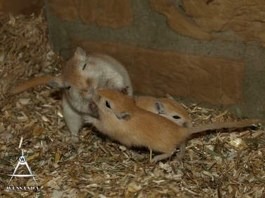 2011-12-02 kusje voor mama