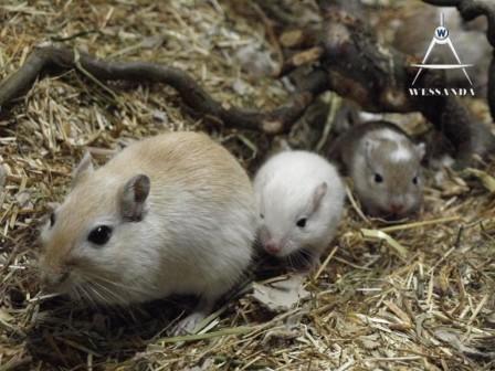 Ayla en jongen 20 dagen oud