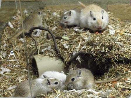 Ayla en jongen 30 dagen oud