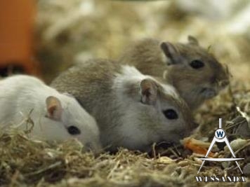 Chris en jongen 8 weken oud