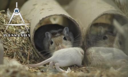 Chris en pup 16 dagen oud