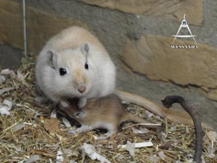 Ayla en jong 16 dagen oud