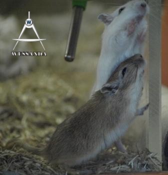 kunnen we er hier uit ?