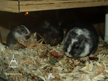 2014-08-01 26 dagen oud 1