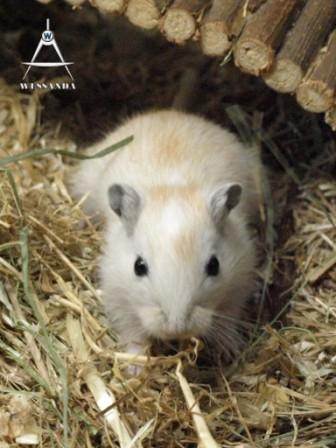 eigenwijs ventje 28 dagen oud