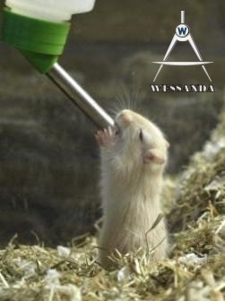 4 weken oud uit de fles drinken