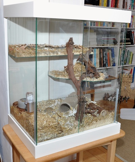 terrarium special